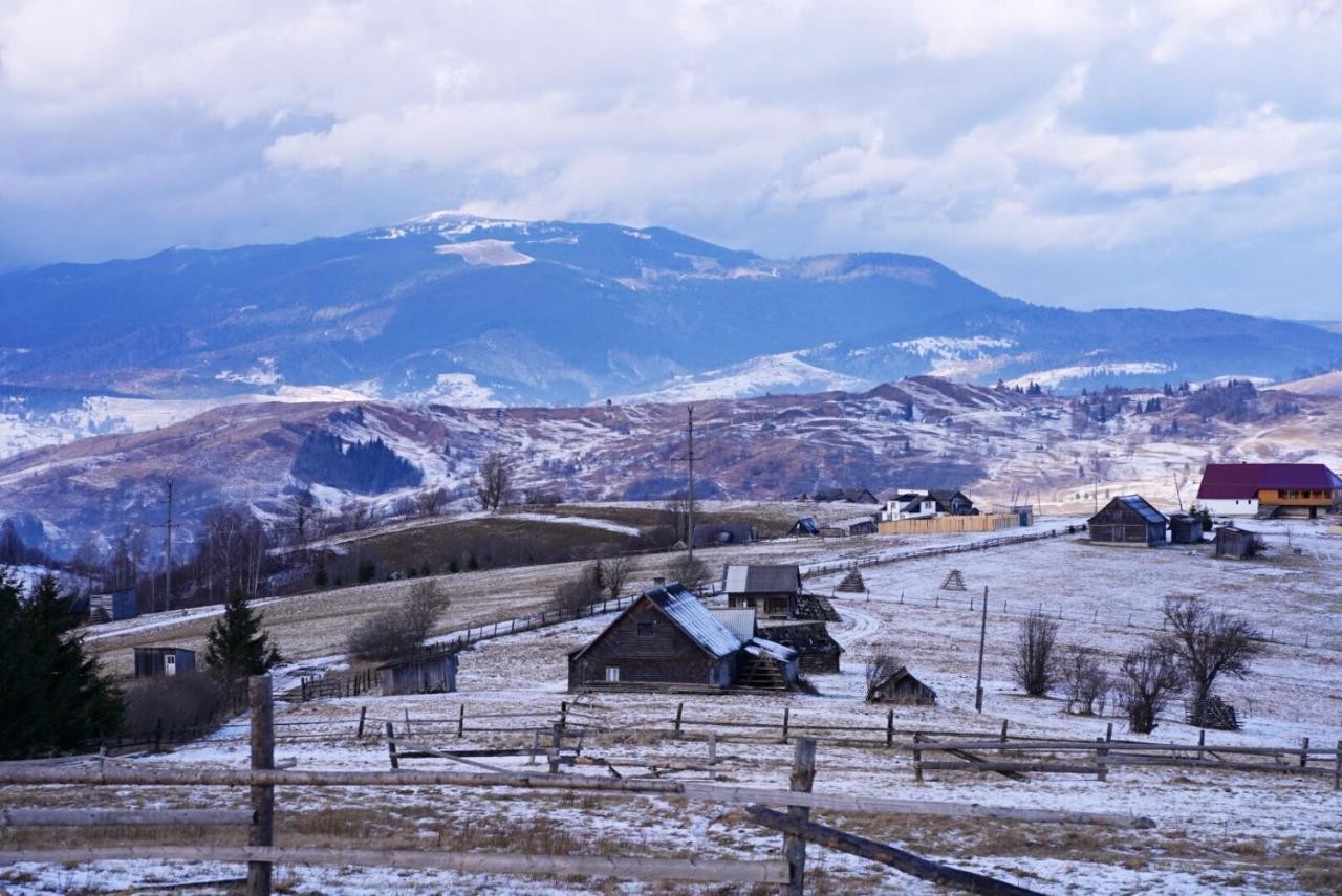 Мирослава Lazeshchyna Buitenkant foto